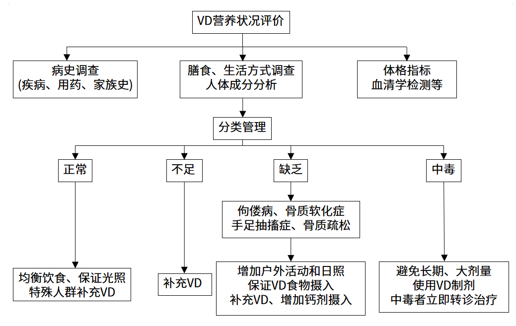 維生素D營養(yǎng)狀況人群篩查的實(shí)施流程